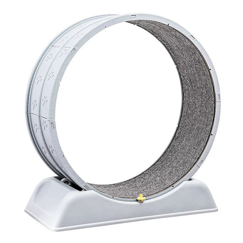 S3642e08cc09346d196a3e821b2c8978ei