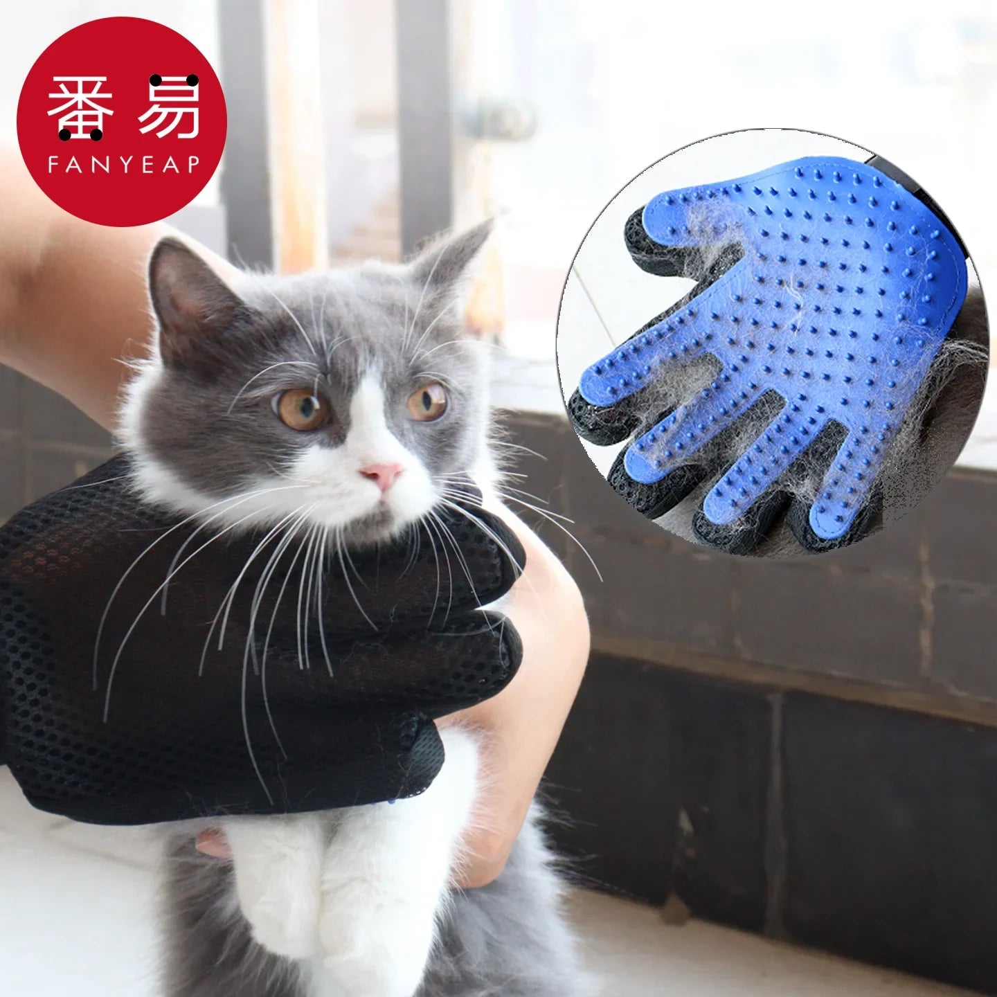 S641fe2d066ea4eacbb7646b9286f79b89